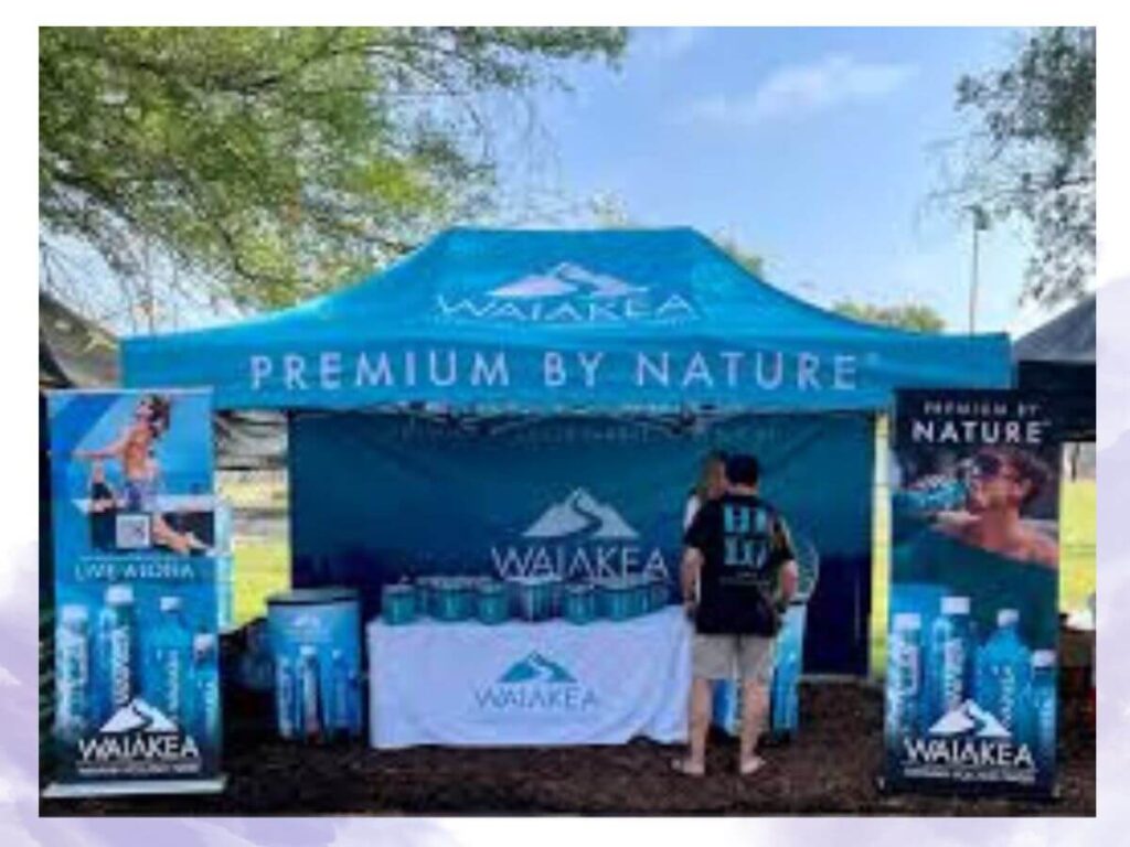 Custom 10x10 Canopy Tent with Company Logo