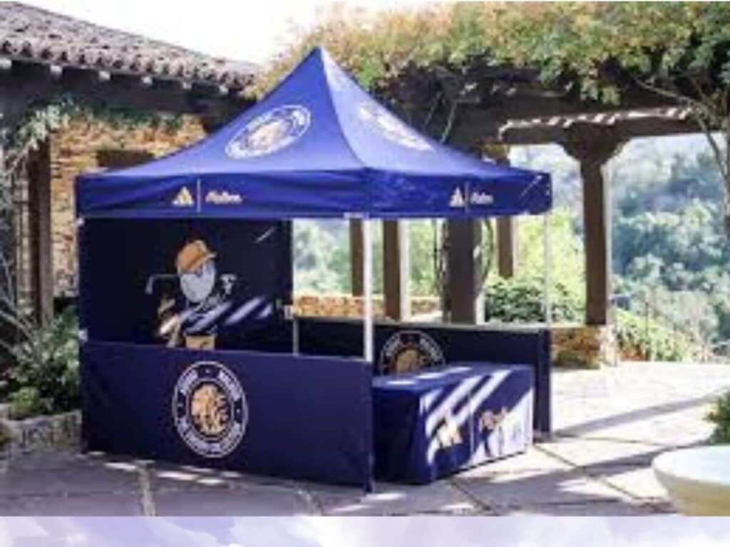 Custom Canopy Tent10x10