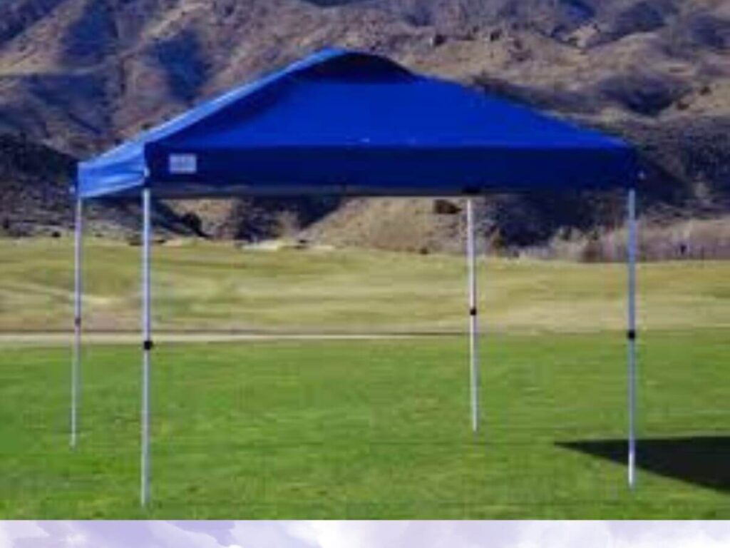 Custom Canopy Tent10x10