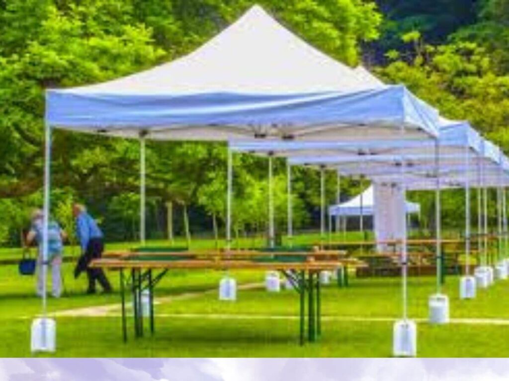 Custom Canopy Tent10x10