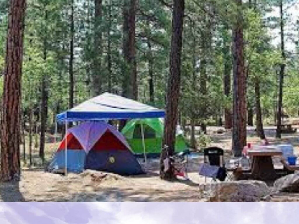 free camping sites in the usa