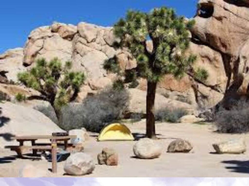 free camping sites in the usa