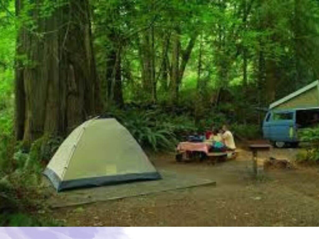 free camping sites in the usa