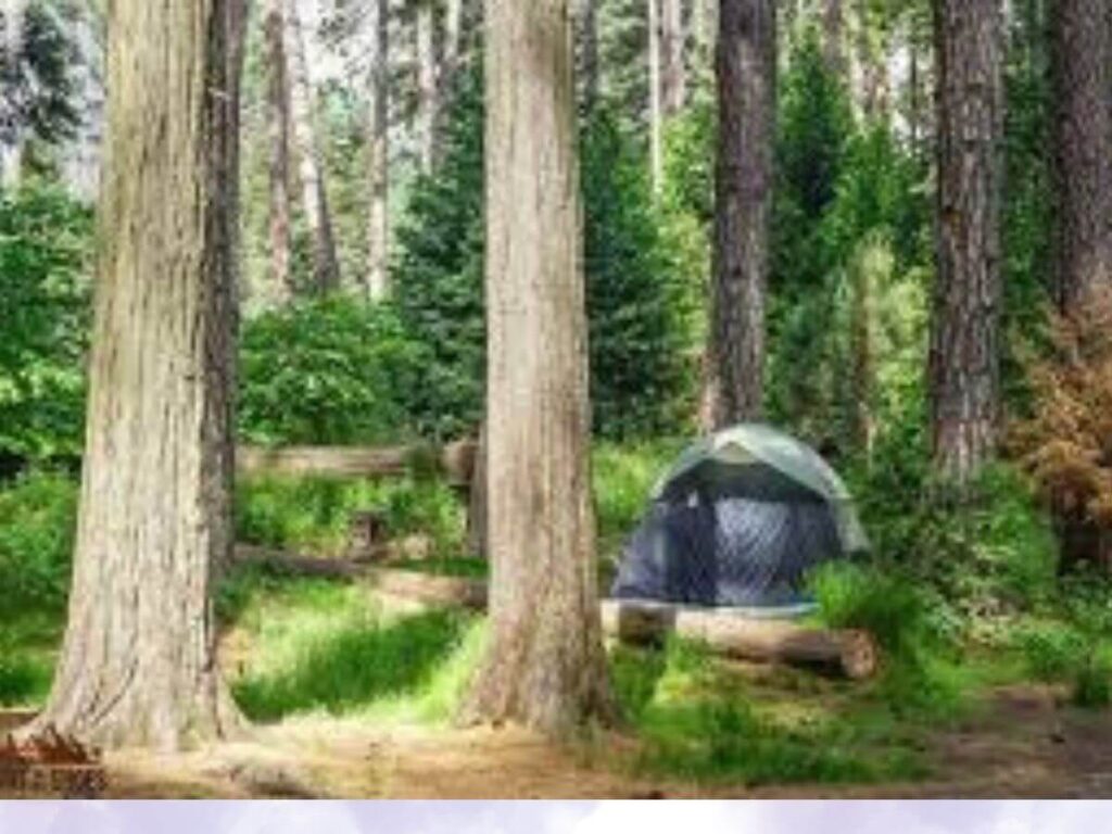 free camping sites in the usa